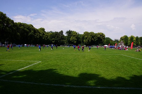 Com Together Cup